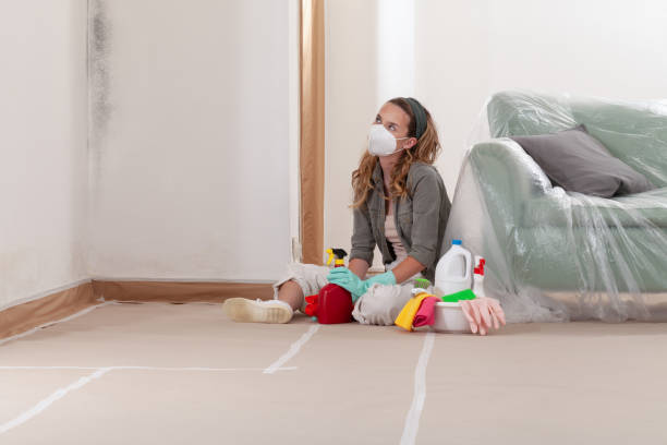 Reliable Basement Mold Remediation contractor in Chula Vista, TX by 24 Hour Mold Removal